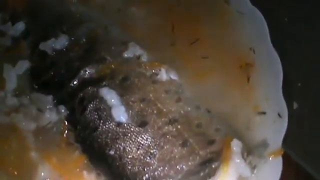 уха с рисом смотреть онлайн