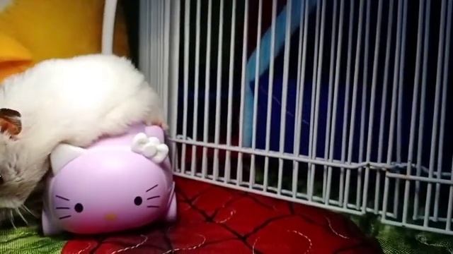 Сказка про супер героя Пеппе смотреть онлайн