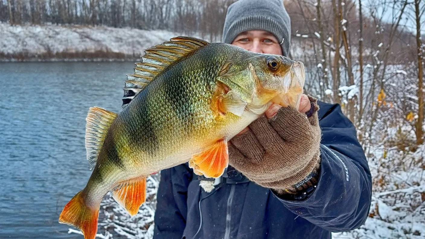 ИКРЯНЫЕ - ЗИМНИЕ - ТОЛСТЫЕ ОКУНИ! Зимняя рыбалка на спиннинг с берега смотреть онлайн