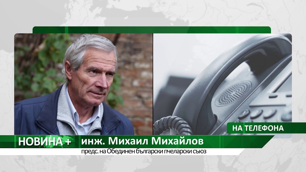 Новина плюс: Пчелари алармират, че медът им залежава, автор: Светлозара Димитрова смотреть онлайн