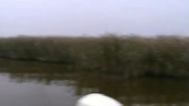 Приазовские плавни.mp4 смотреть онлайн