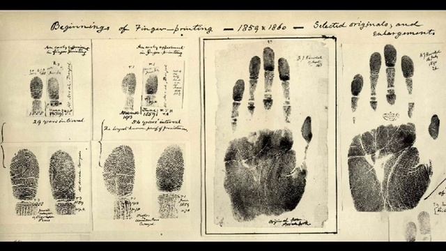 8 класс биология. Кожа, строение и функции. Якименко Арина 8*К*. #кожа#биоуроки#8класс смотреть онлайн