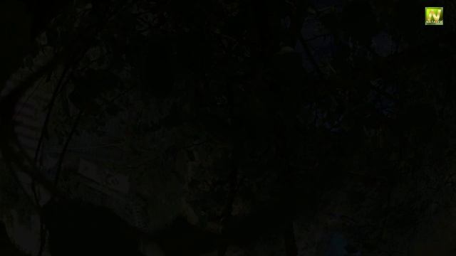 [Natalex] Пролетая над гнездом Сойки... смотреть онлайн