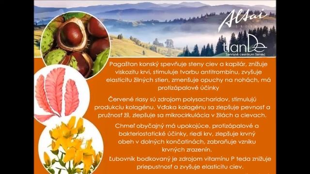 Slaviton смотреть онлайн