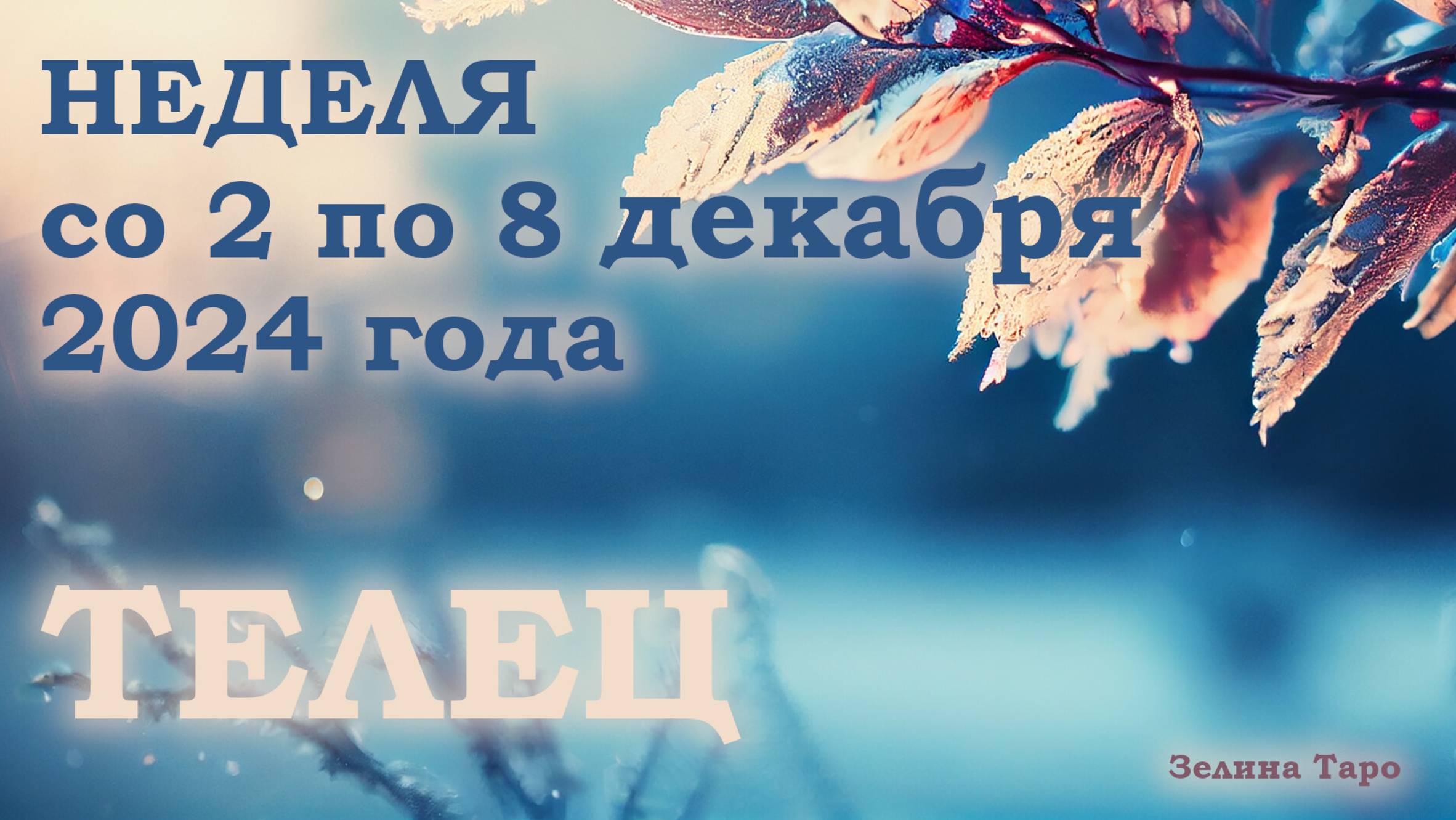 ТЕЛЕЦ | Таро прогноз на неделю со 2 по 8 декабря 2024 года