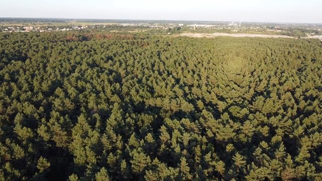 [Natalex] Звуки леса, зеркальная камера, тест аккумулятора "Влог"... смотреть онлайн