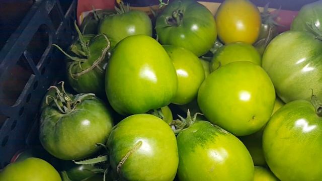 [Natalex] Старый ноутбук, SDR, NOAA, метеофакс и помидоры...))) смотреть онлайн