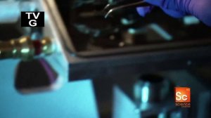 Научная нефантастика: физика невероятного 1 сезон 12 серия (документальный сериал, 2009-2010)