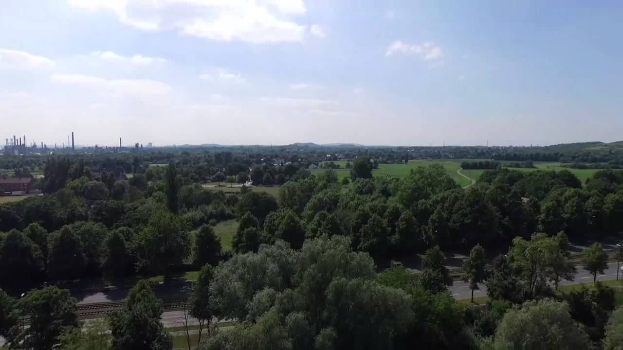 Biotop in der Stadt смотреть онлайн