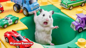 Хомяк попал в ЛАБИРИНТ С МАШИНКАМИ ! Выбираемся из лабиринта вместе !