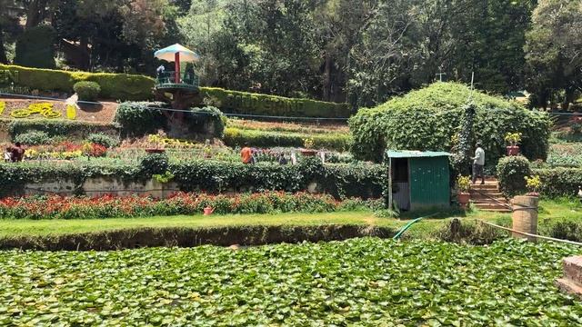Italian Garden | Ooty | Botanical Garden | #ooty смотреть онлайн