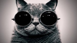 Bass Music Soul — PALC   Тараканы 1час