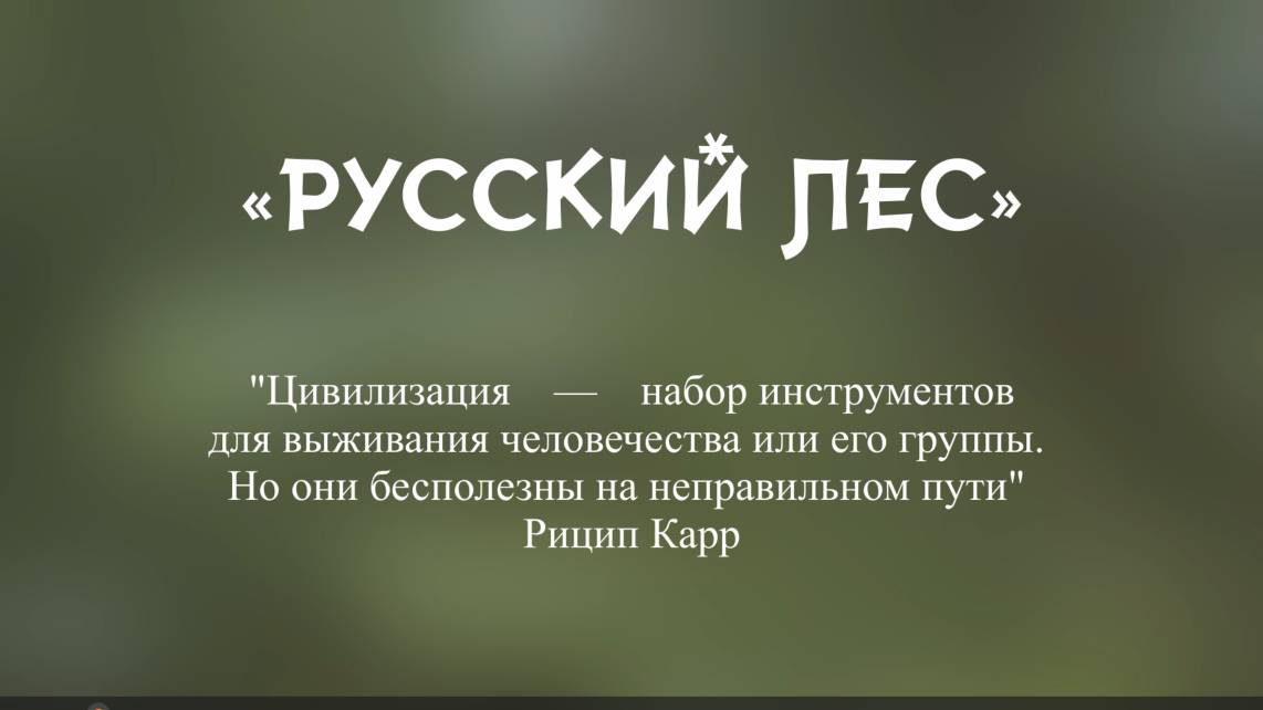 Кинопоэма "Русский Лес". смотреть онлайн