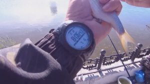 КРУПНЫЙ КАРАСЬ ДЕЛАЕТ НЕРВЫ. ЛОВЛЯ КАРАСЯ НА ПОПЛВОК. ЭЭТО ЭКСТРИМ