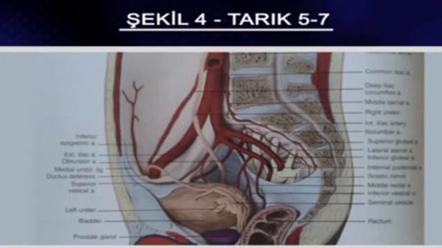 Kurana Göre Sperm Nerede Oluşur (Sırt-kaburga)? (Tarık 5-7, Sulb, Teraib) - Prof. Dr. Zeki Bayrakta смотреть онлайн