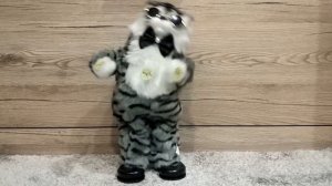 Поющий и танцующий кот . Поет 18 песен.