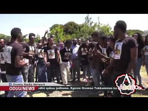 Nafxanyooni waan kale anolee fi calanqoti taye hin dubbatina jedhan ammale nurrati deebisufi G/kama смотреть онлайн