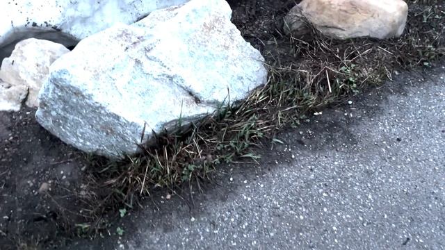 Hamlet but in modern language and its terribly produced смотреть онлайн