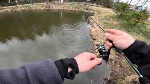 РОТАН НА МОРМЫШИНГ. РЫБАЛКА С ELEVEN LURES НА ДАЧНОМ ПРУДУ В ЗАПРЕТ.