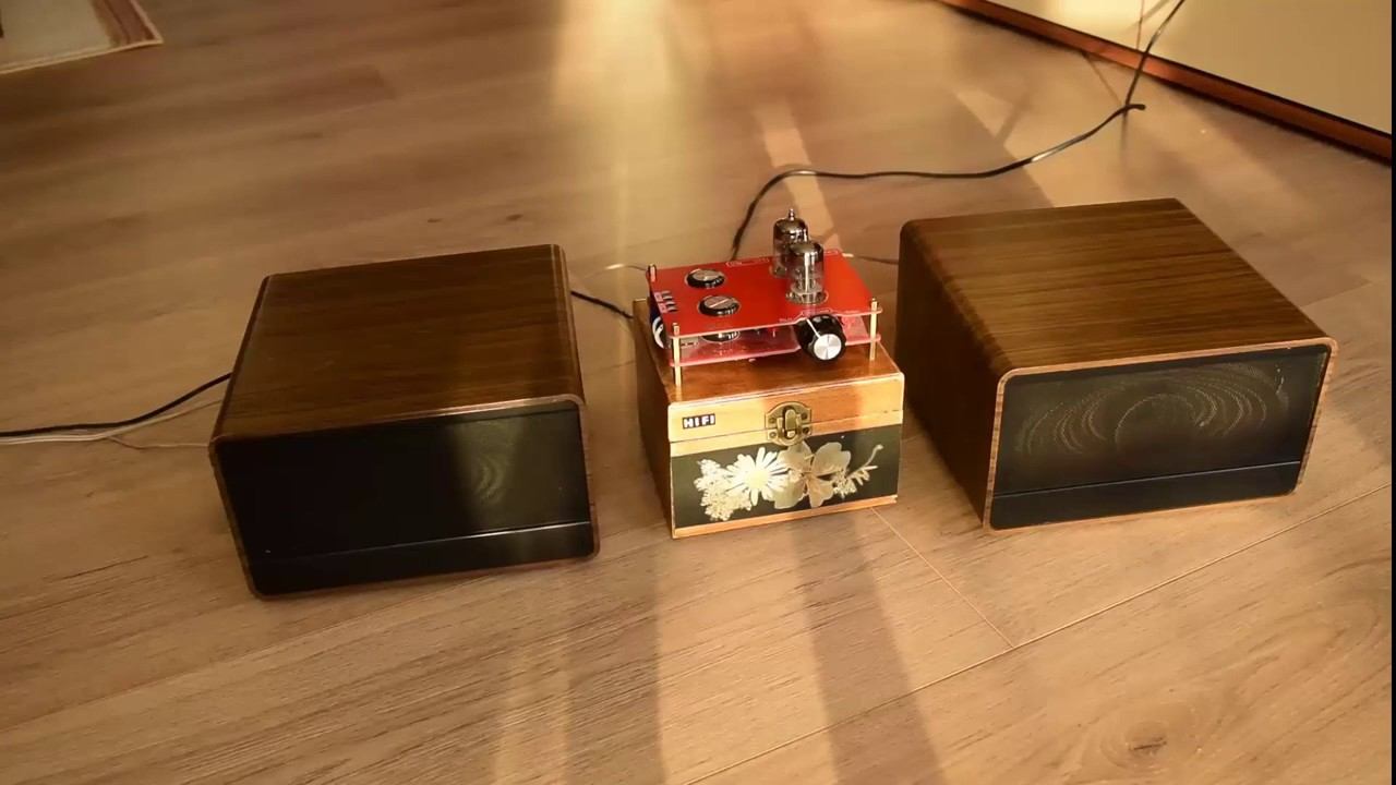 Tube Audio Amplifier 6N3 Hi-Fi TA2024 Grundig Box 39- Home Made