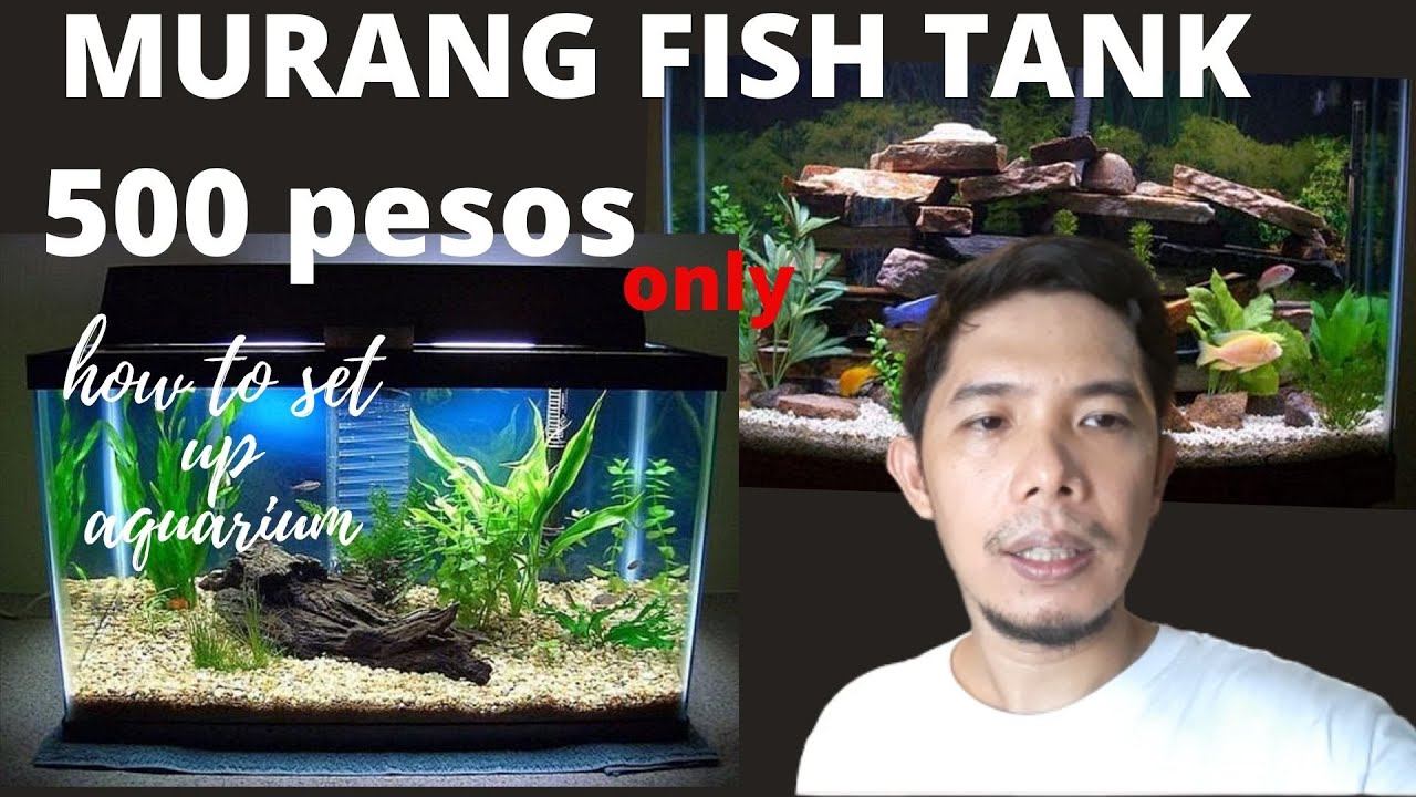 PAANO SET UP NG AQUARIUM/AT TAMNAN NG AQUATIC PLANTS SIMPLE WAY☘🇵🇭 смотреть онлайн