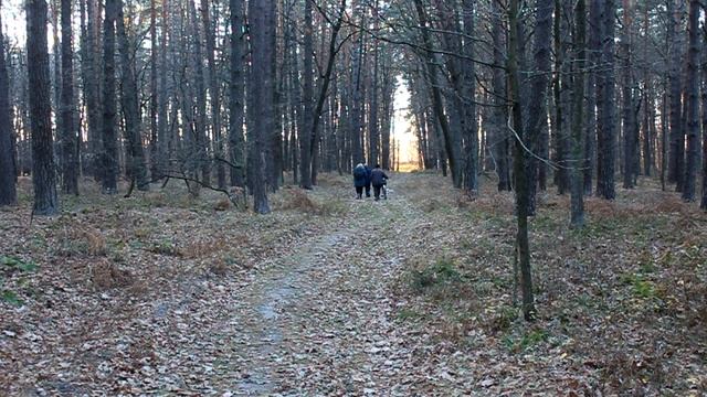 [Natalex] Зеркалка 500D, осенний лес, съёмка со штатива... смотреть онлайн
