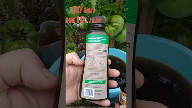 Лучшая Подкормка Для Томатов В Августе Для Вкуса и Созревания! смотреть онлайн