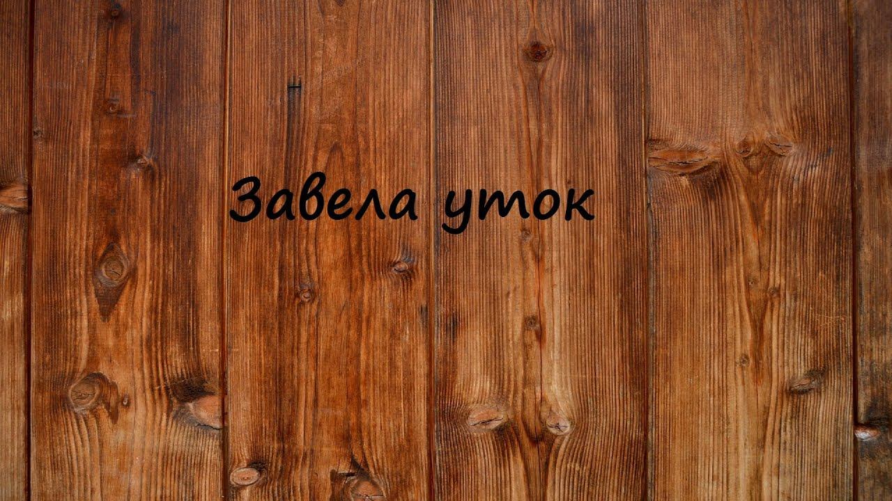 Завела уток, наглядевшись на хозяйство Елены Мороз смотреть онлайн