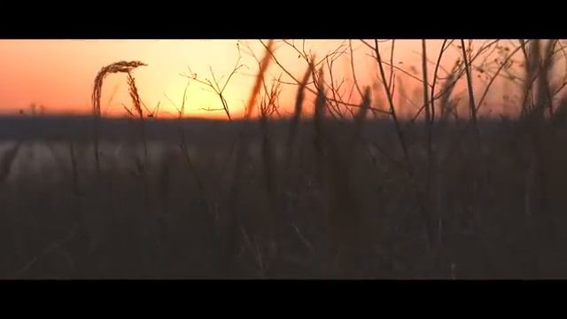 JXXPSINNXR - DEAD CASTLES смотреть онлайн