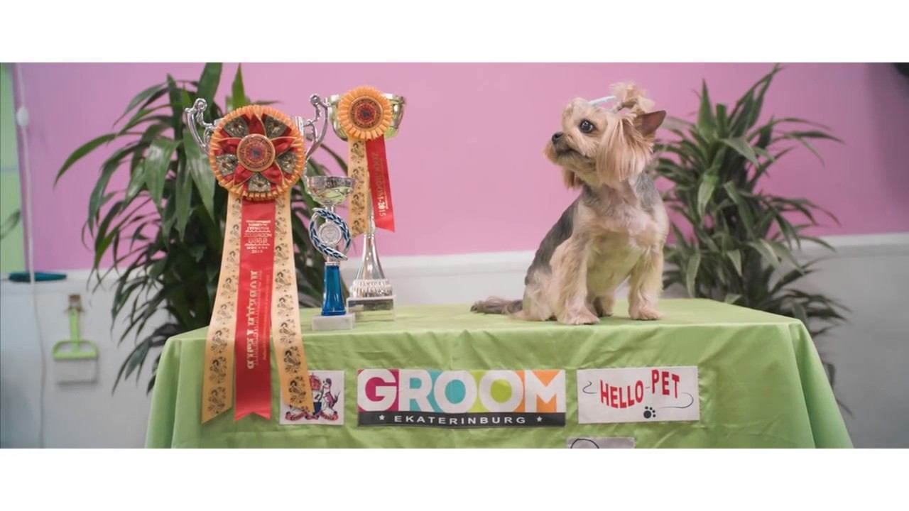 GROOM и Сбербанк: Екатеринбург, Груминг, Вдохновение (2017) смотреть онлайн