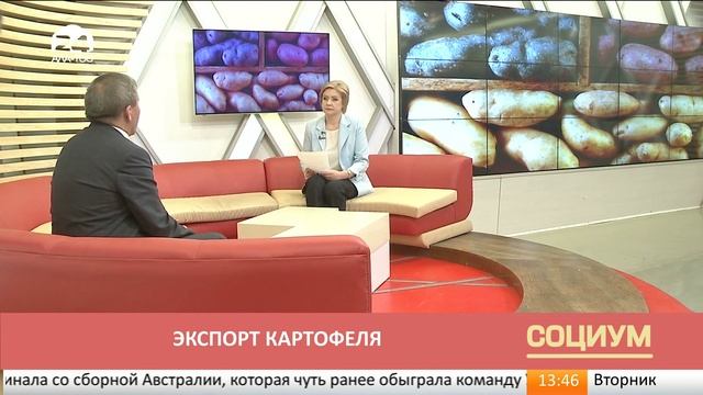 Социум: экспорт картофеля смотреть онлайн