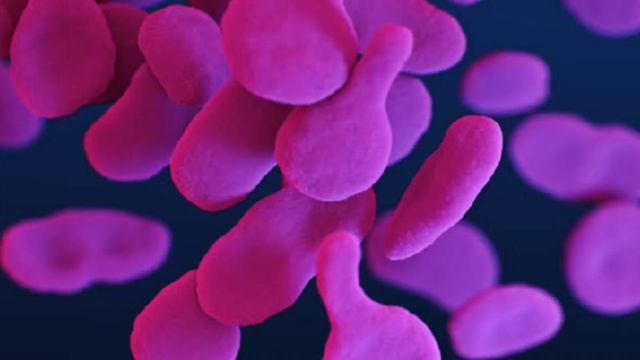 MYCOPLASMA GENITALIUM, BACTÉRIA SEXUALMENTE TRANSMISSÍVEL @QueHistoriaeEssaMax