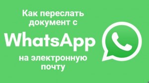 Как переслать файл с WhatsApp на электронную почту
