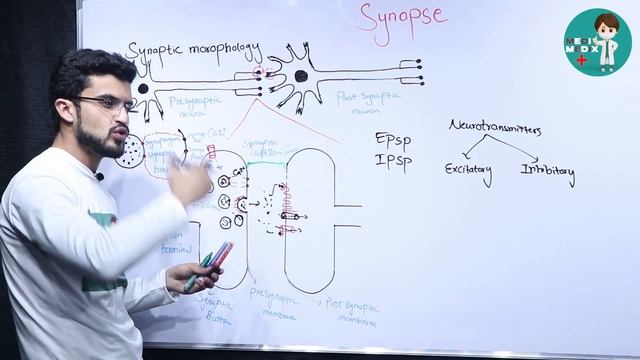 Synapse - ساینپس (Physiology #10) смотреть онлайн