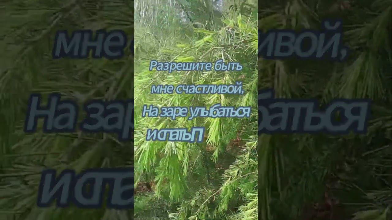 стих Разрешите быть мне счастливой смотреть онлайн