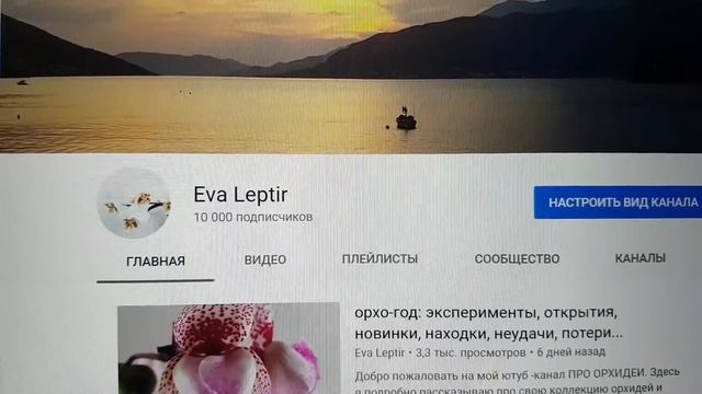 розыгрыш ПРИЗА в честь 10.000 подписчиков: делаем, что ли? ))) смотреть онлайн
