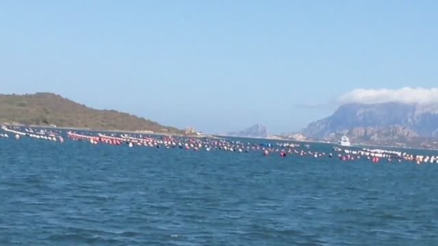 Сардиния. доки.