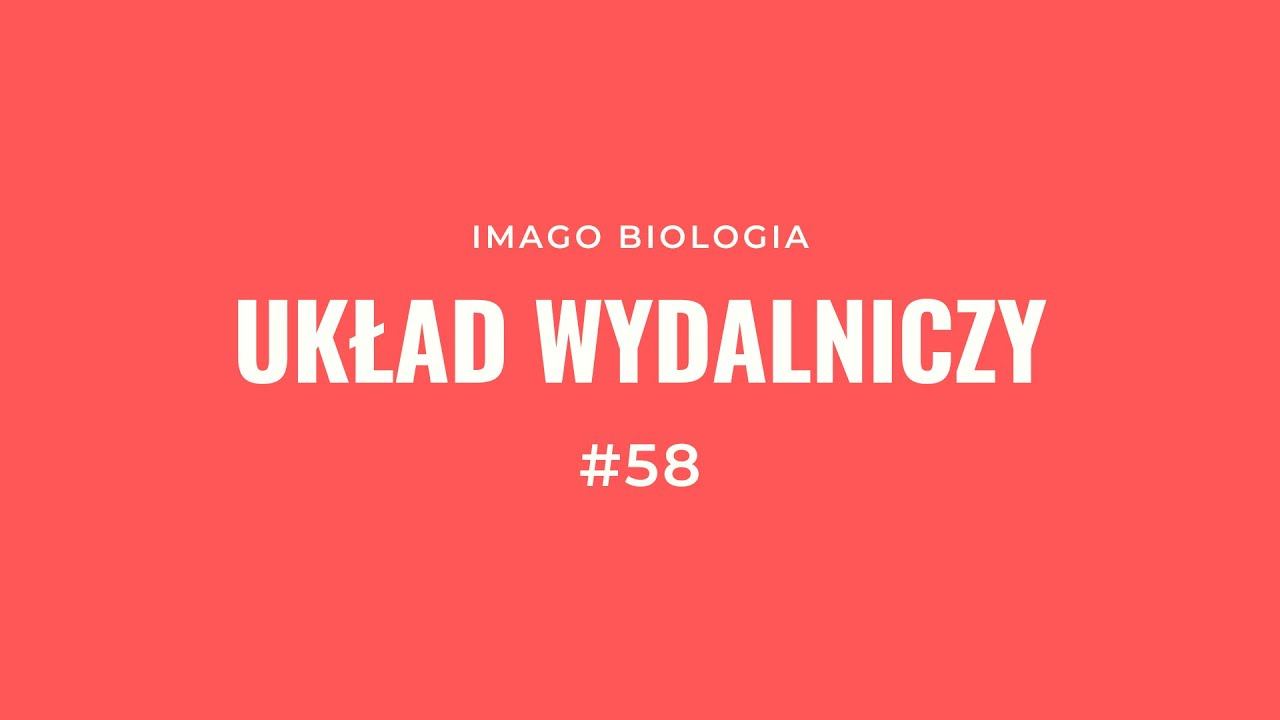 Układ wydalniczy смотреть онлайн