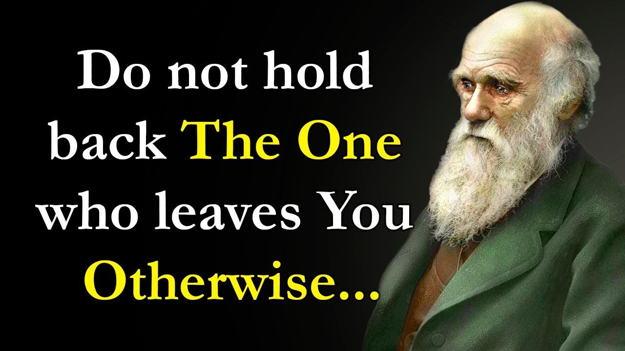 Incredibly Accurate Jewish Proverbs to Remember | Quotes, Aphorisms, wise Sayings смотреть онлайн