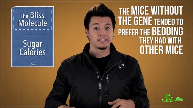 Social Interaction and the 'Bliss Molecule' смотреть онлайн