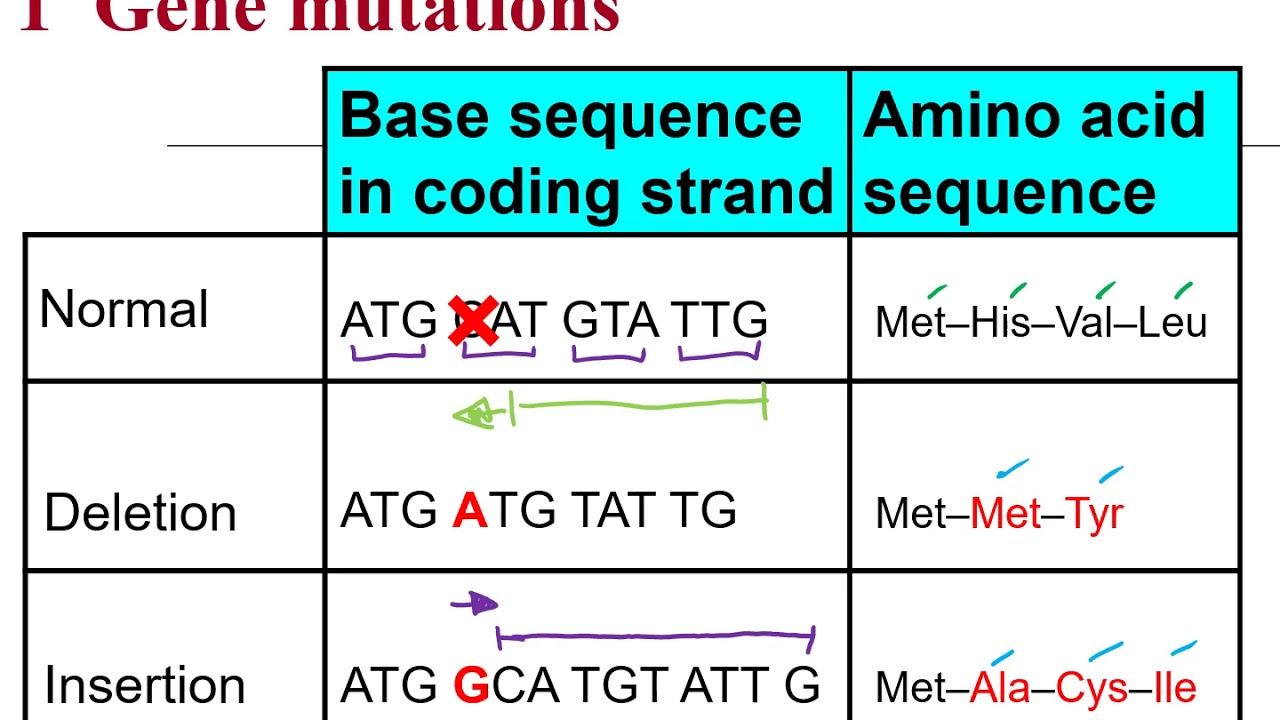 Lesson 28_Ch27 Gene mutation Part 1 смотреть онлайн