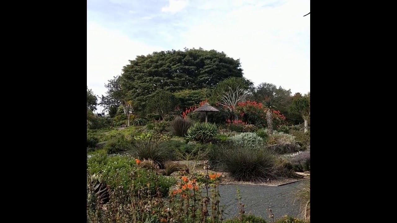 Auckland Botanic Garden 30 смотреть онлайн