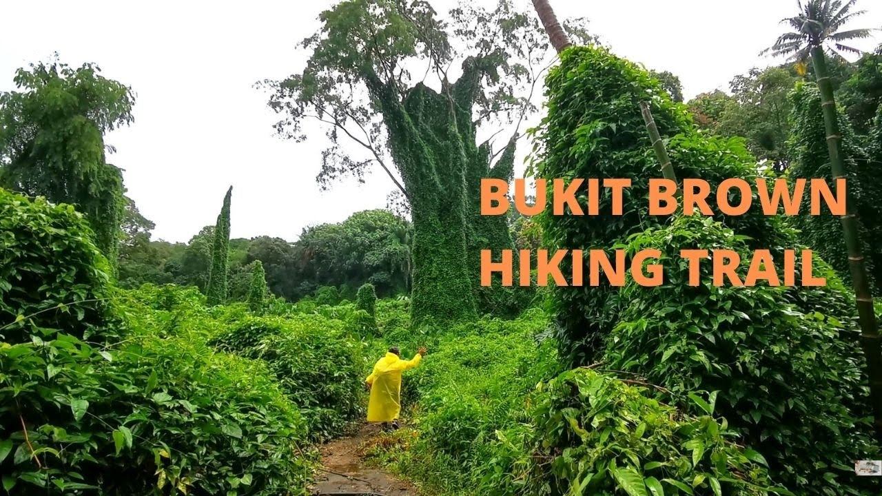 Bukit Brown Hiking Trail - veronkoksm смотреть онлайн