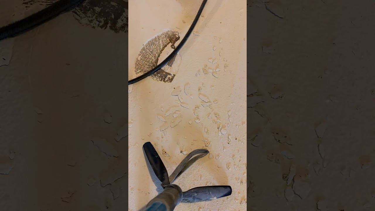 Stingray preparation смотреть онлайн