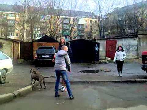полет в мусорку смотреть онлайн