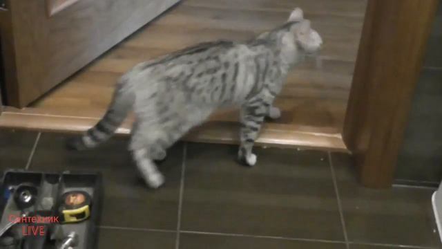 ФИЛЬТР ВОДЫ НЕ ВЫДЕРЖАЛ (((( смотреть онлайн