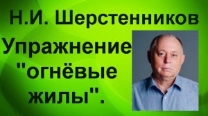 Шерстенников. Н.И. Шерстенников демонстрирует работу с огнёвыми жилами.
