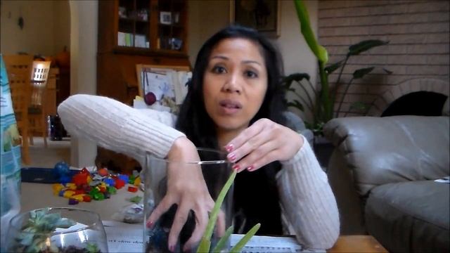 How to make Terrarium Garden Succulent Plants смотреть онлайн
