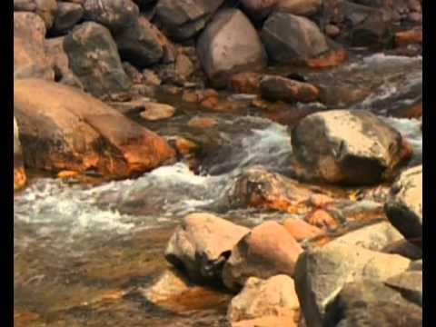 Мгновения мира 109 смотреть онлайн