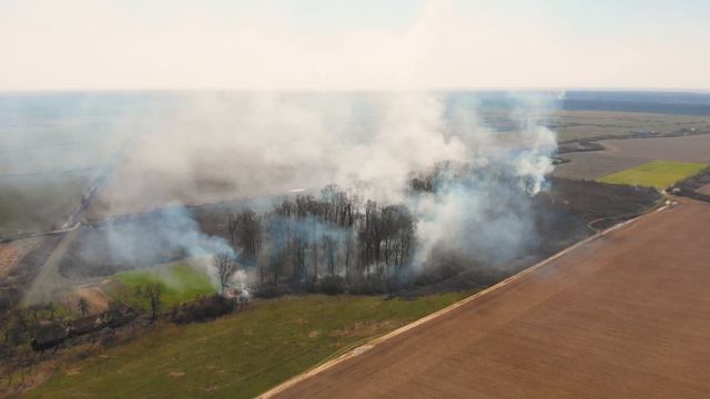 Не паліть суху траву! Бережіть природу !!! смотреть онлайн